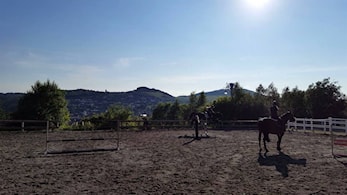 Ledig stallplass i trivelig, aktivt sprangmiljø